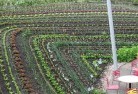 Lacmalacpermaculture-5.jpg; ?>