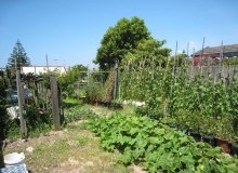 Kwikfynd Vegetable Gardens
lacmalac